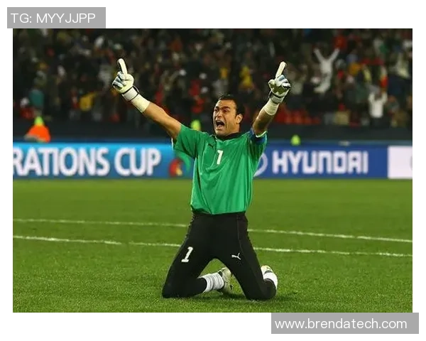 埃及足球明星盘点：谁是绿茵场上的传奇与新星