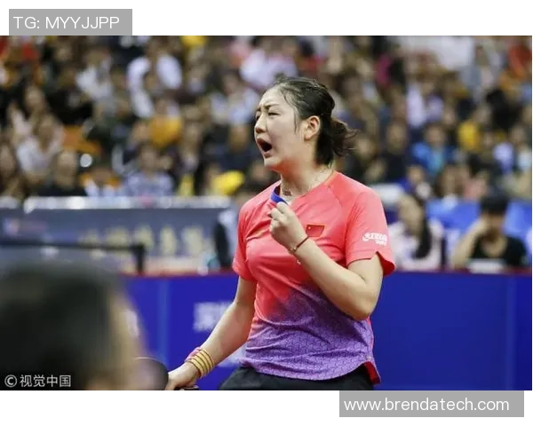 北京排球队强势领跑冠军赛积分榜积累64分展现实力